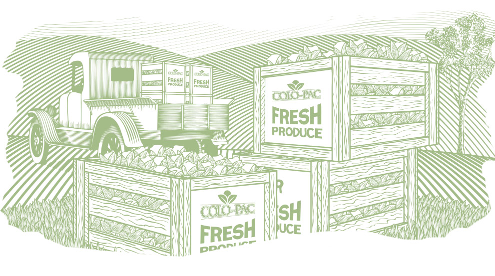 truck-produce-illustration